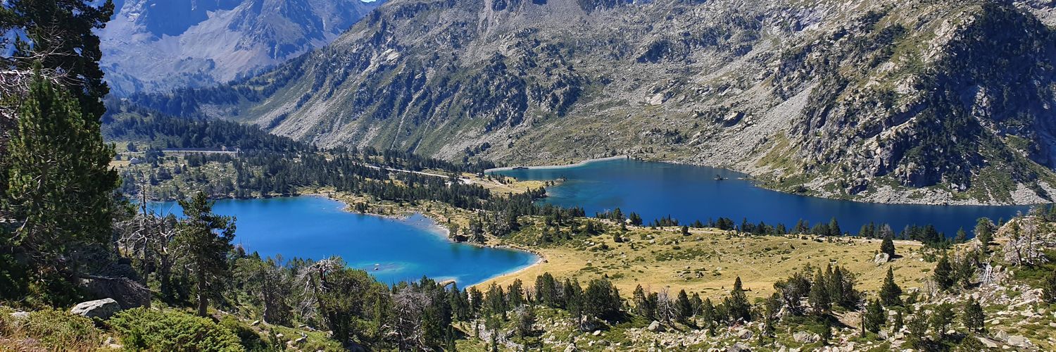 Sebastien Despin banner