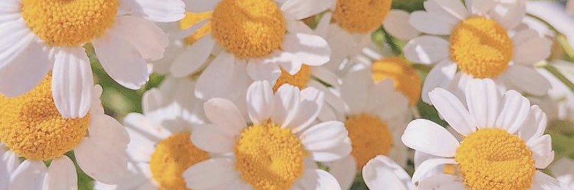kayxcham's profile banner image