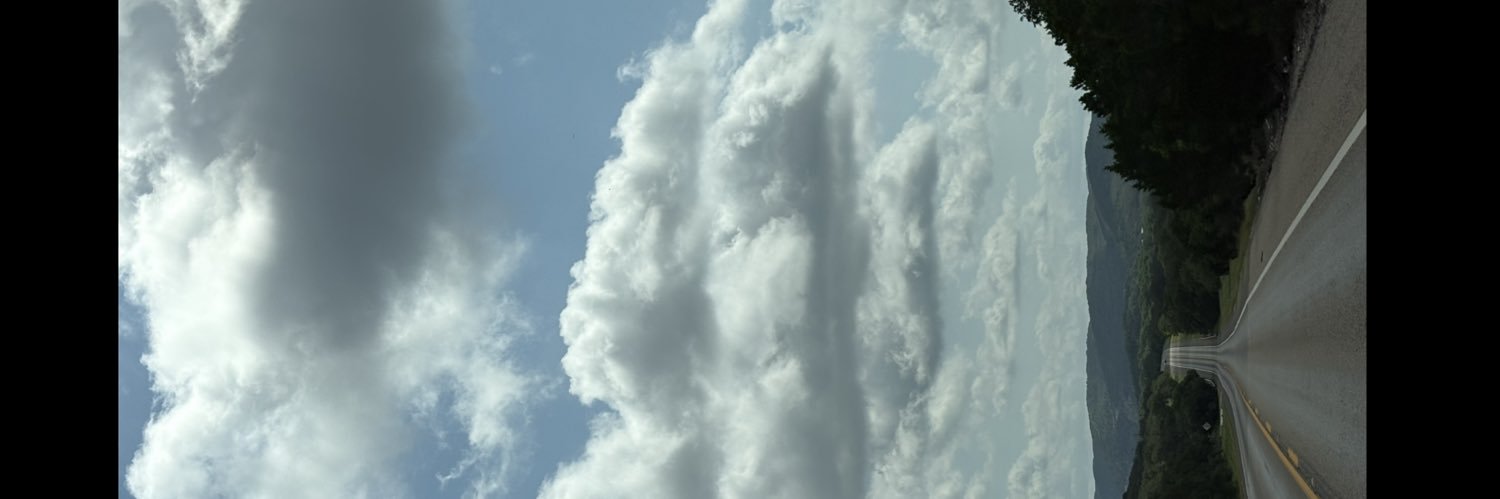 07_phyl's profile banner image