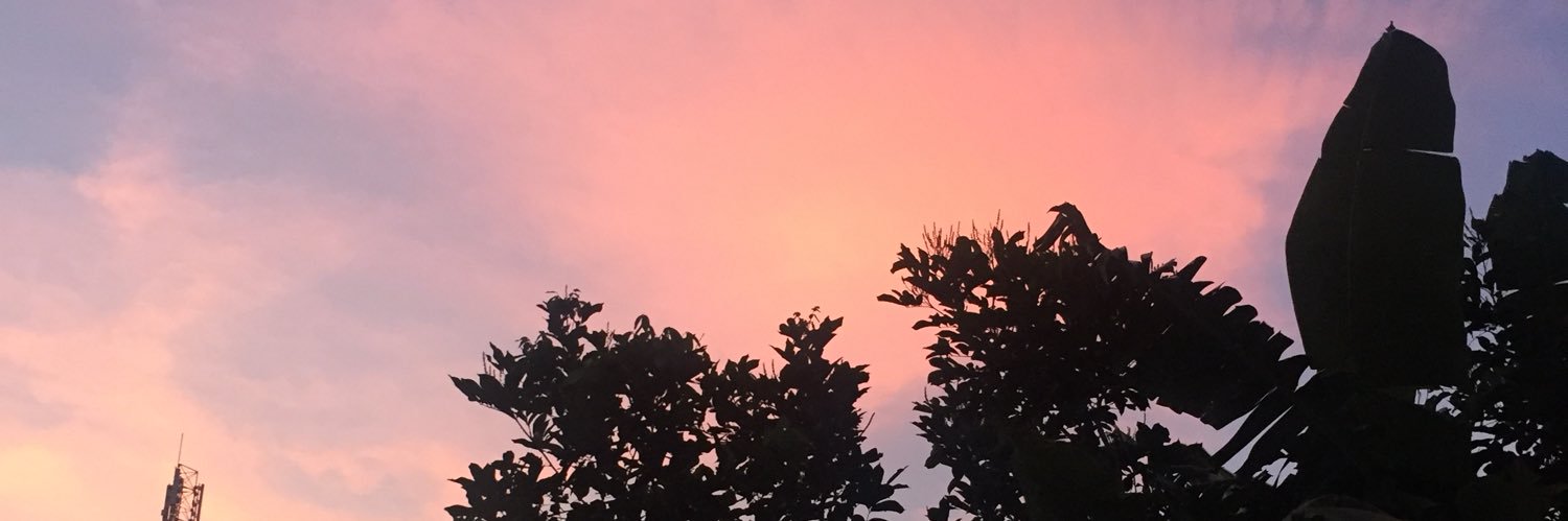 Vischen's profile banner image