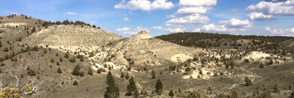 Paleowin Profile Banner