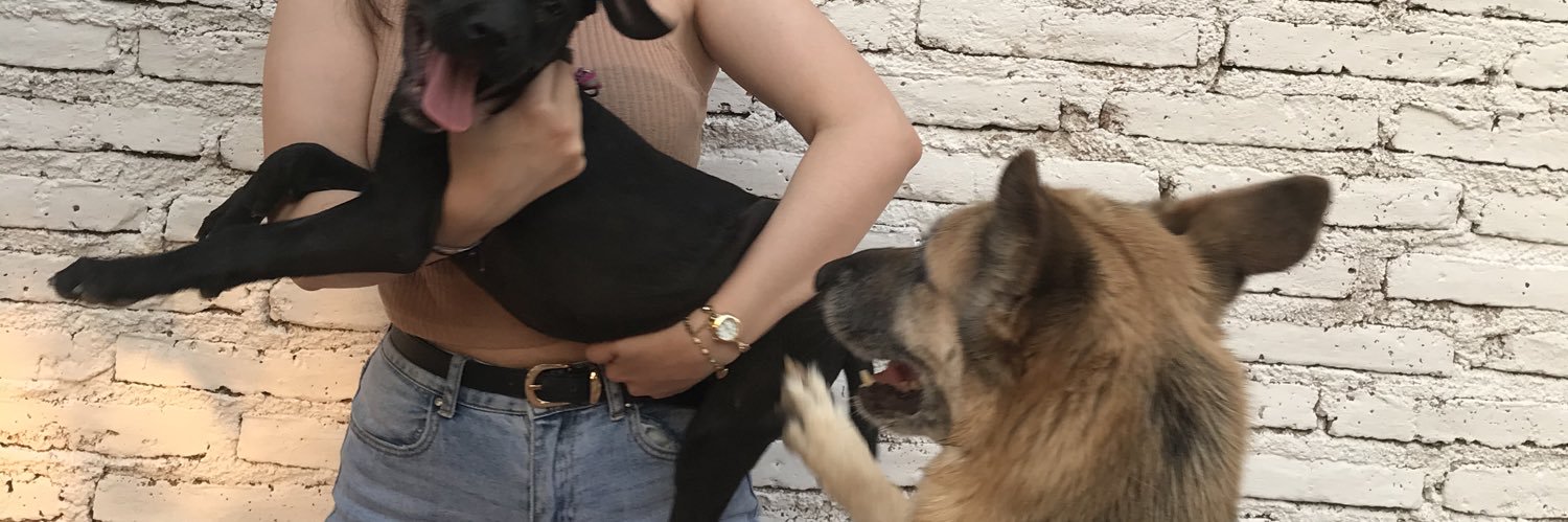 dianamariaag's profile banner image
