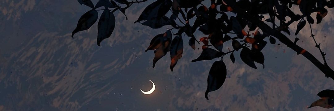 f_h_d_9's profile banner image