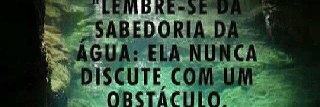StellaLemos's profile banner image