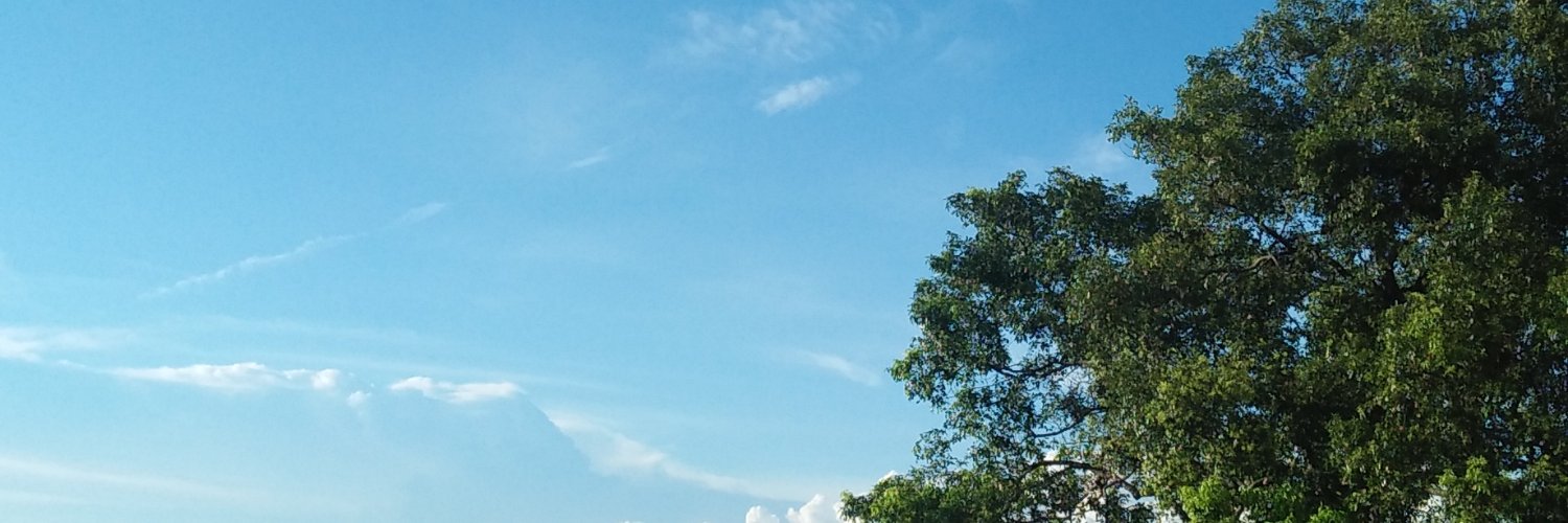 Dinimrs_'s profile banner image