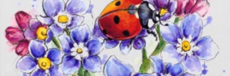 Dawn Beacall banner