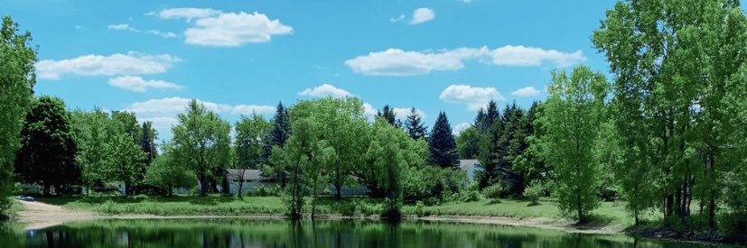 RachelGibsonn's profile banner image