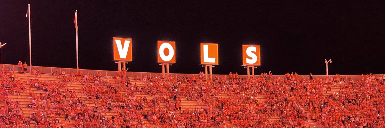 The Volgoose's banner