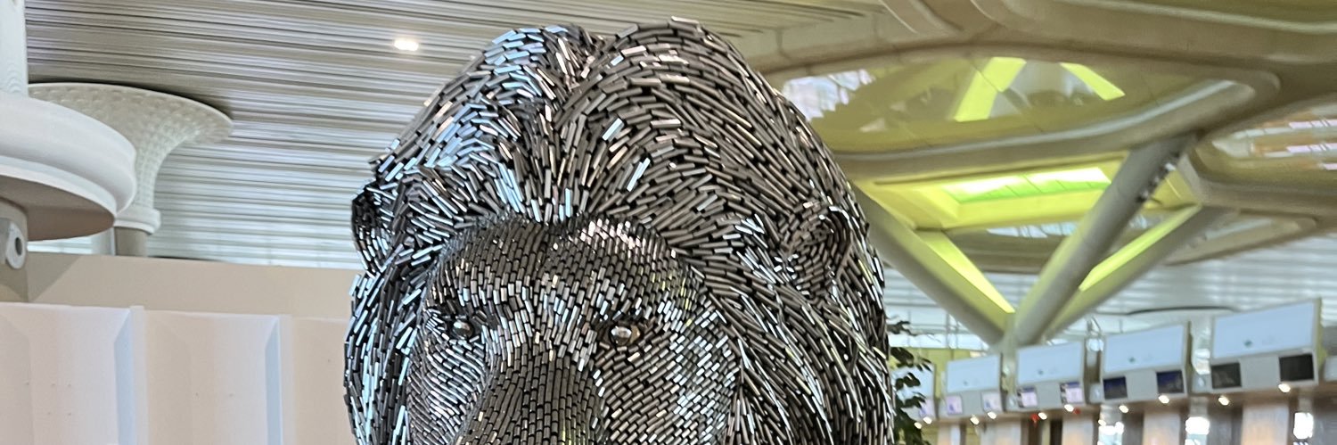 bubballaa's profile banner image