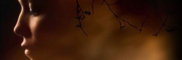 hanukadewi's profile banner image