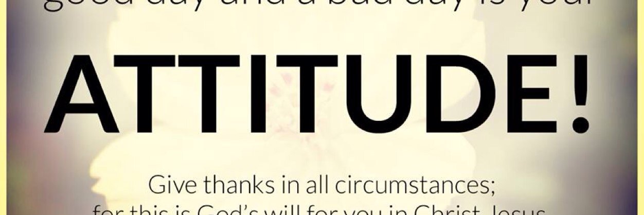 Letty Sarabia banner