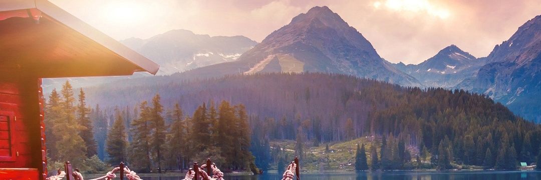 phunxster's profile banner image