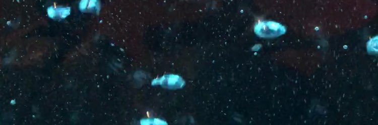 sqrdoooon's profile banner image