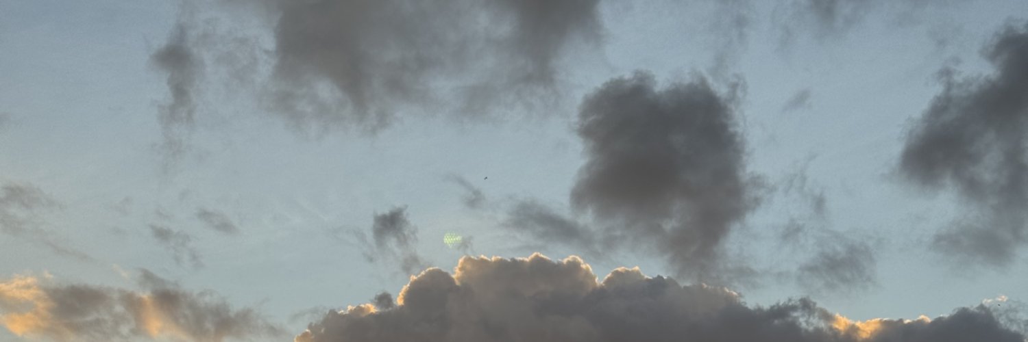 lopes ® banner