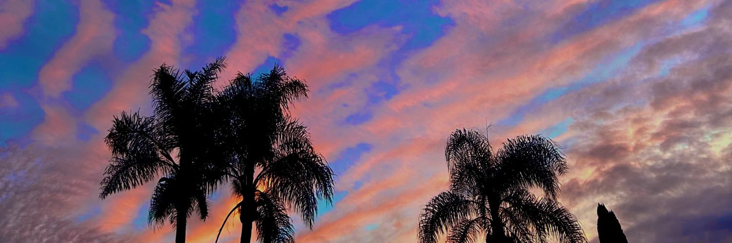 fernnaandda's profile banner image