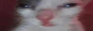 devylish_'s profile banner image