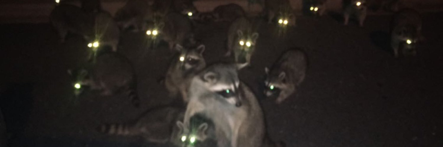 youdontShay's profile banner image