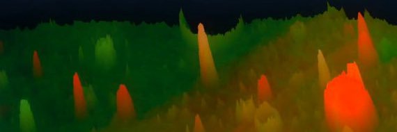 arithelizard's profile banner image