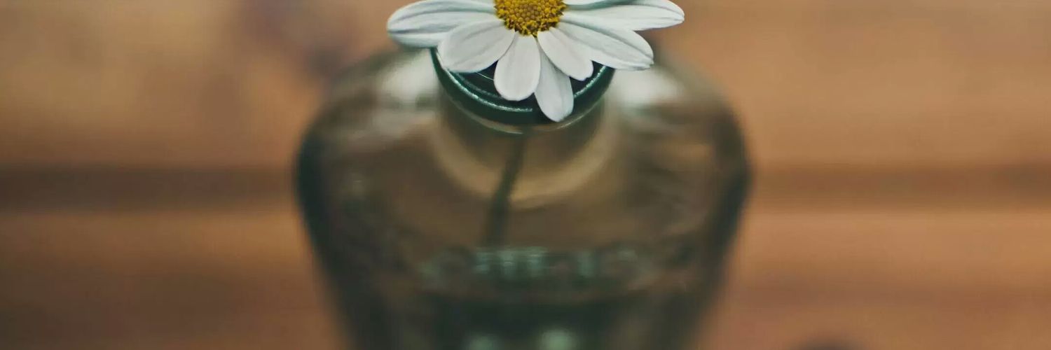 marinaYF's profile banner image