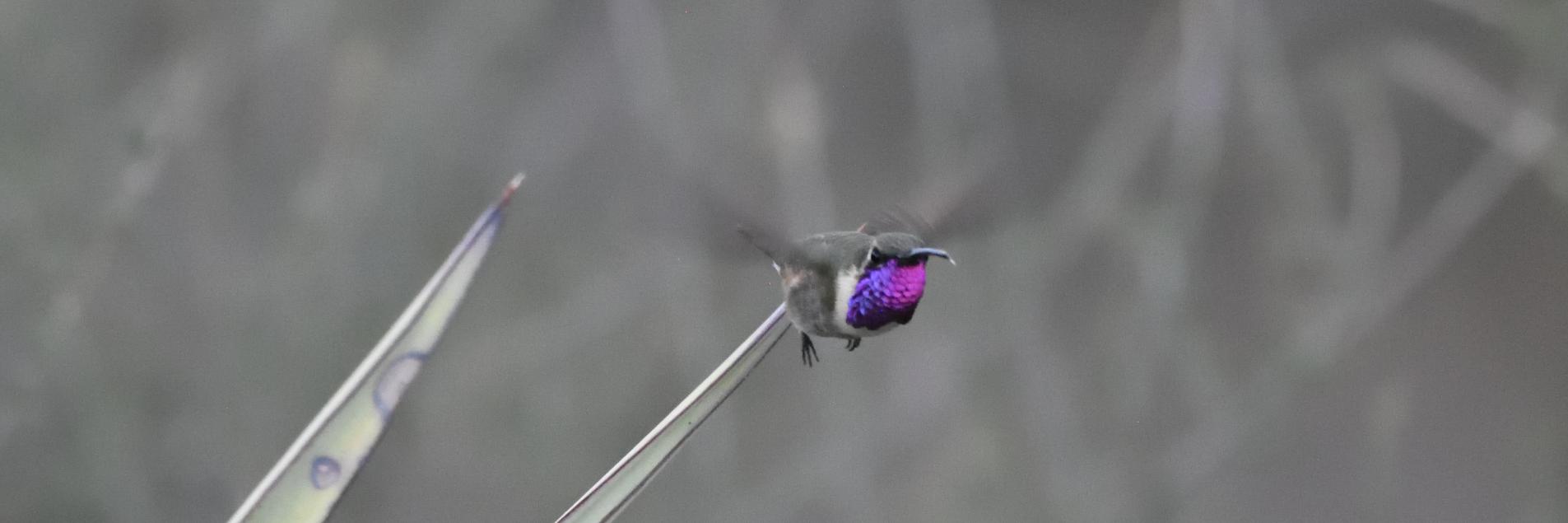 MaxBirding's profile banner image