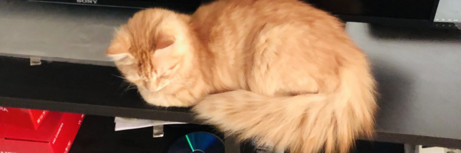 Mohamed Fazil 🇱🇰 & 🇸🇦 banner