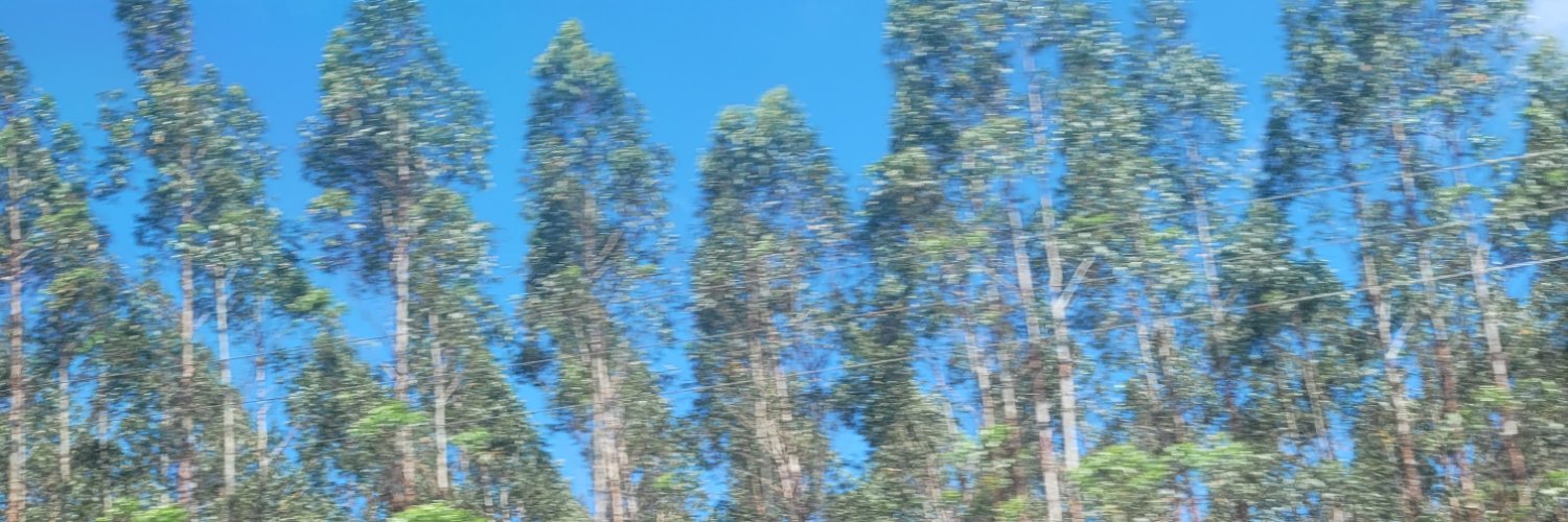 gioguanaes's profile banner image