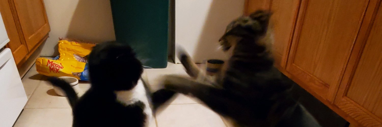 siege_hannah's profile banner image