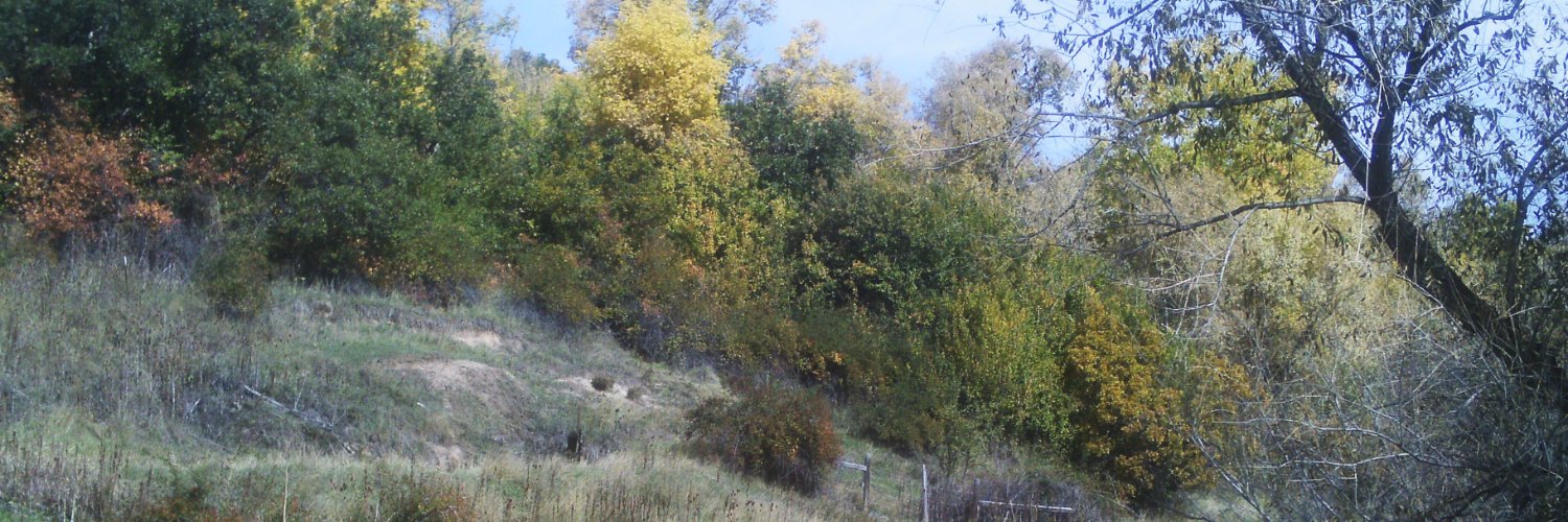 BJ Haun banner
