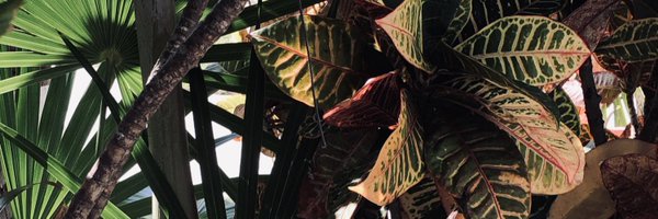 mapp_t Profile Banner