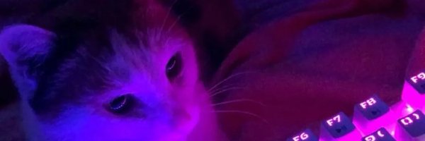 Spizzikk Profile Banner