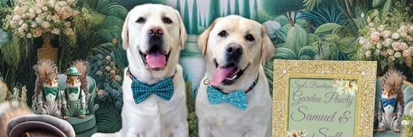 PBandP Designs banner