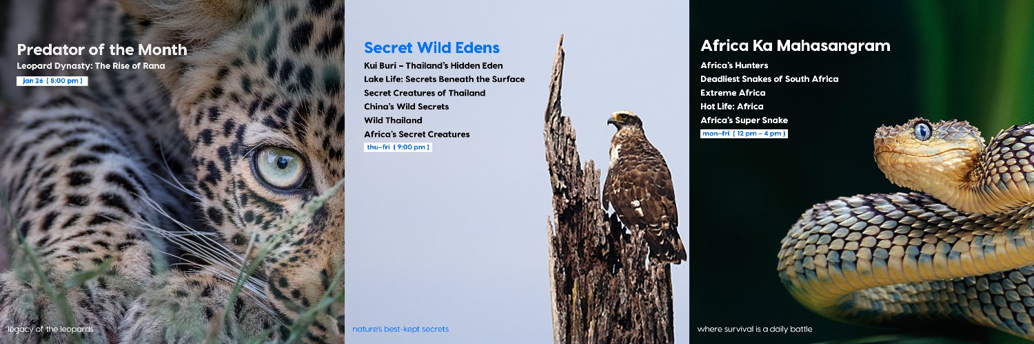 Animal Planet India banner