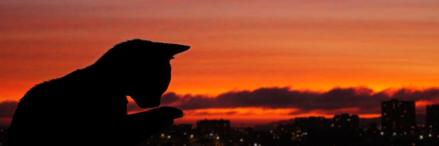 LoQueSePudu's profile banner image