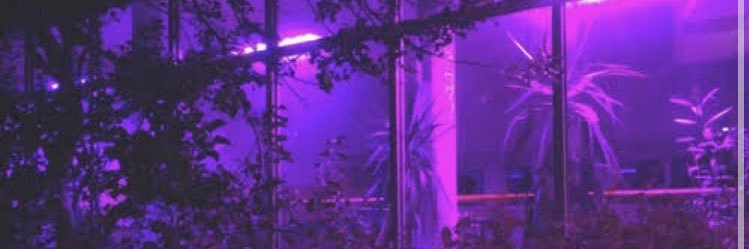 HughesQ17's profile banner image