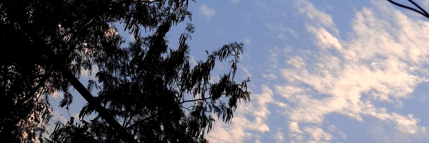 funnyskeletonn's profile banner image