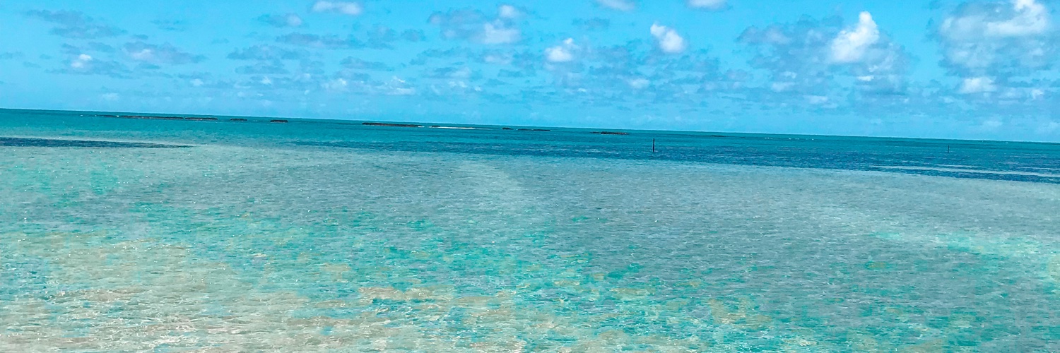 cclarinha_'s profile banner image