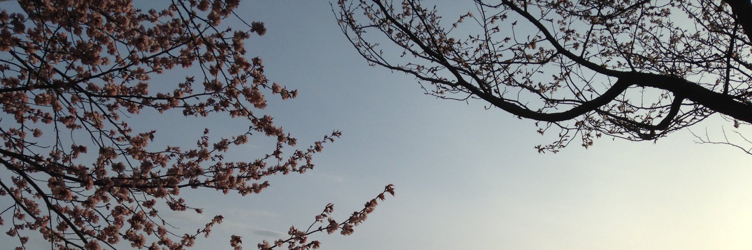 coba_yang's profile banner image