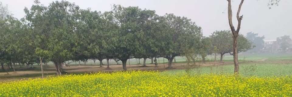 AviDipak's profile banner image