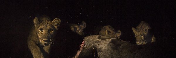 alexbraczkowski Profile Banner