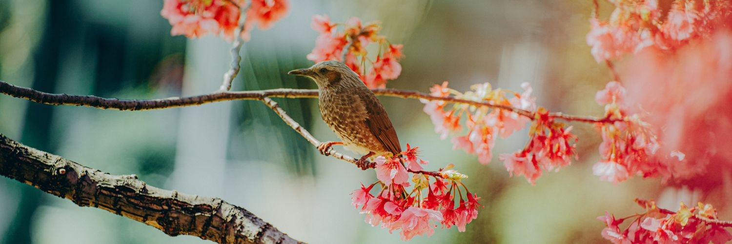 ししど ちせい / Goodpatch banner