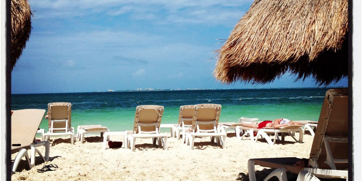 Tracy Brigdale banner