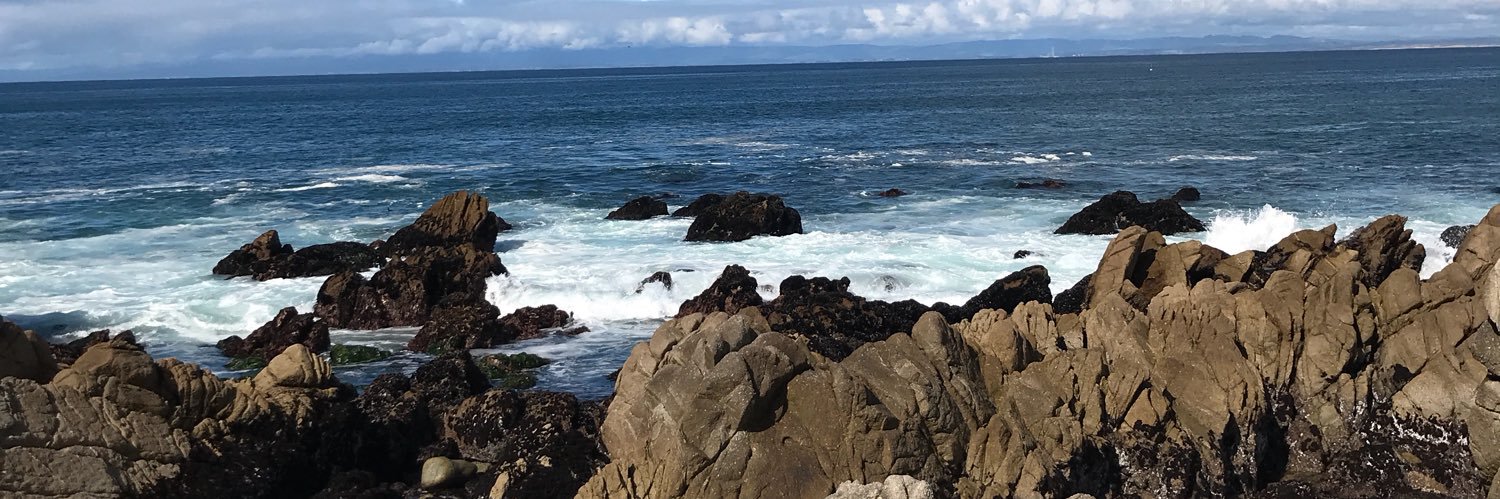 stanleystallion's profile banner image