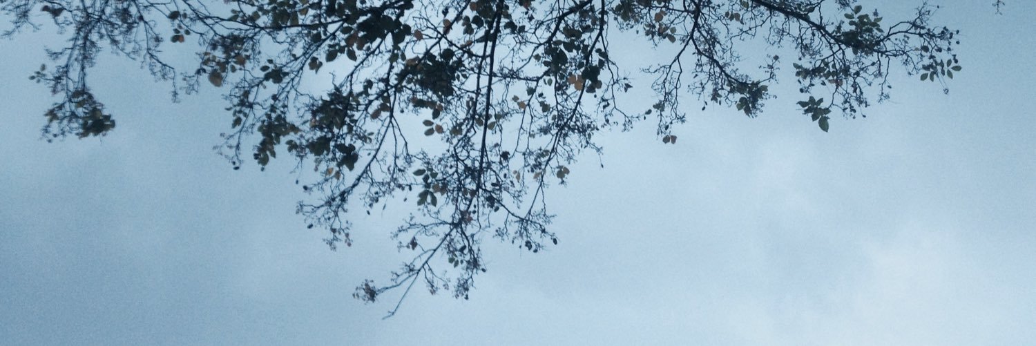 JiaHuiLOL's profile banner image