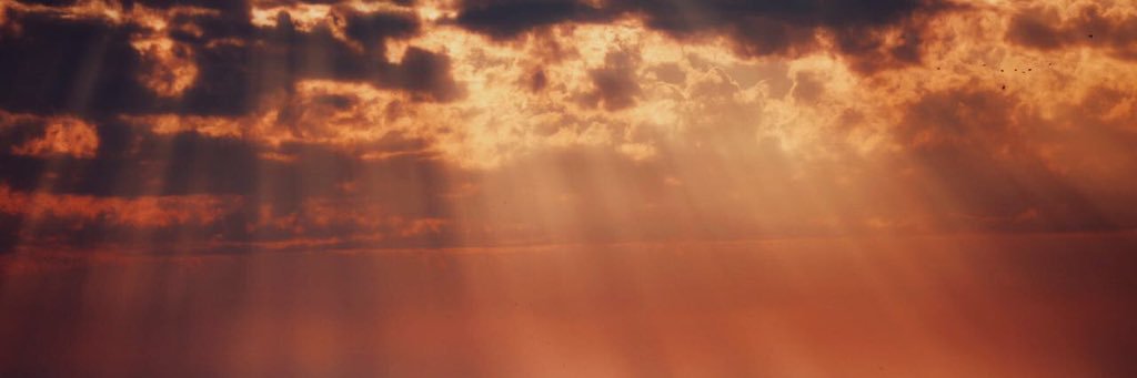 thdisha's profile banner image