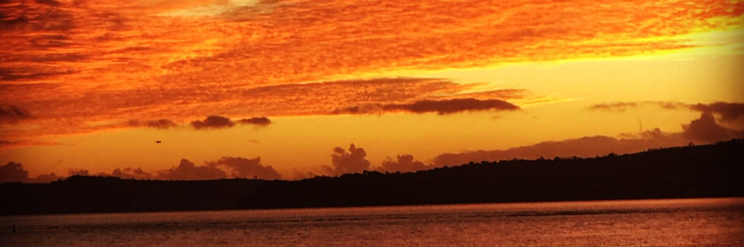 VictoriaWoolsey's profile banner image