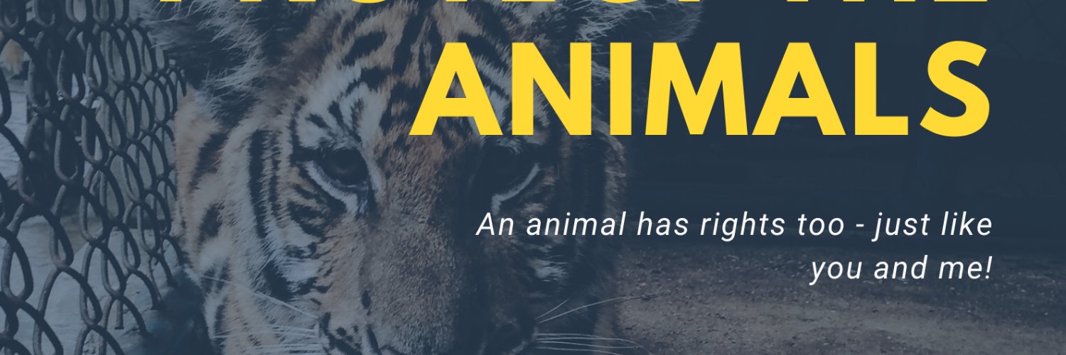 Base_Animals's profile banner image