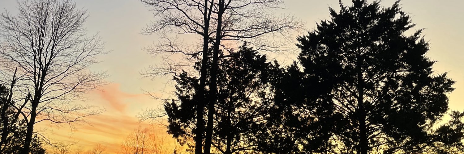 MariaGodoy20's profile banner image