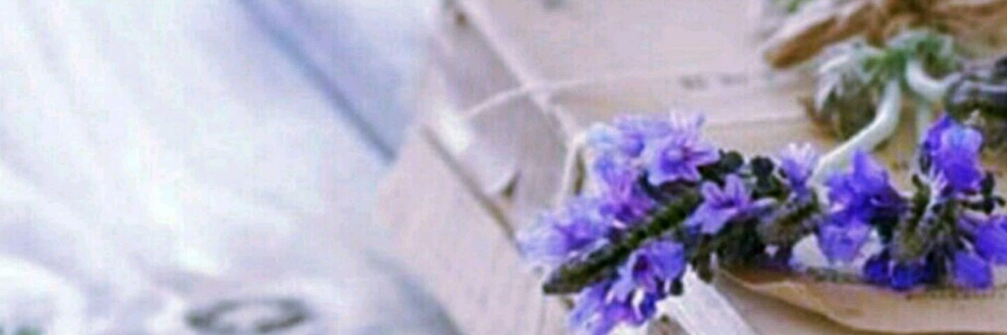 weolgye's profile banner image