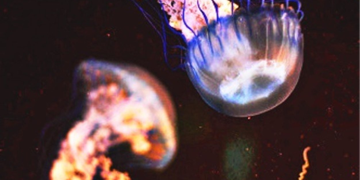 NAAAAAYY's profile banner image