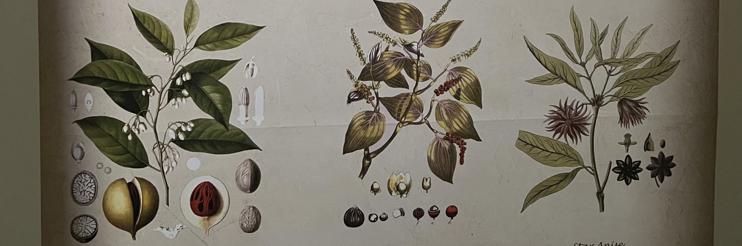 amnxals's profile banner image